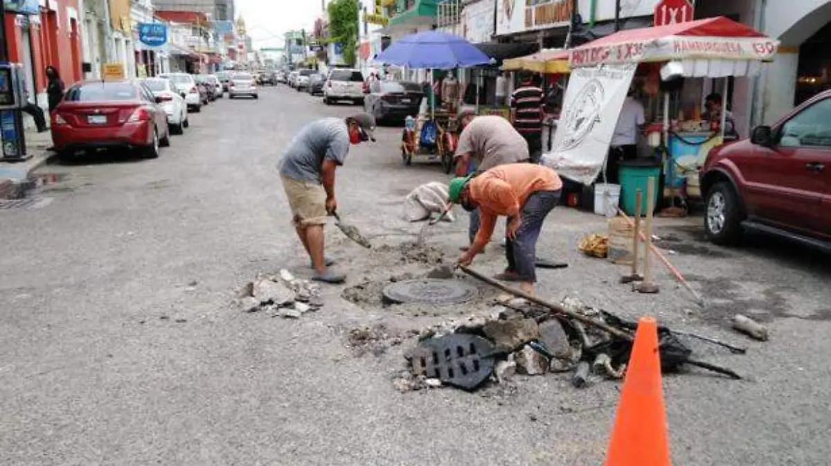 Bache1 copia